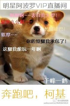 奔跑吧!狗狗 奔跑吧!狗狗