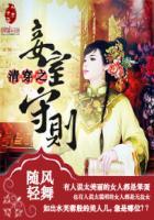 清穿之妾宠 清穿之妾宠