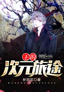 次元王最后一关怎么打 次元王最后一关怎么打