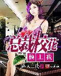 总裁校花赖上我 总裁校花赖上我