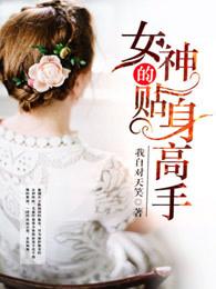 女神的贴身高手 女神的贴身高手