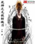死神之无敌斩魄刀 死神之无敌斩魄刀