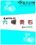 遗世传说之九曜灵石 遗世传说之九曜灵石