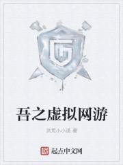 吾之虚拟网游 吾之虚拟网游