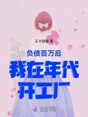 负债百万后,我在年代开工厂 负债百万后,我在年代开工厂