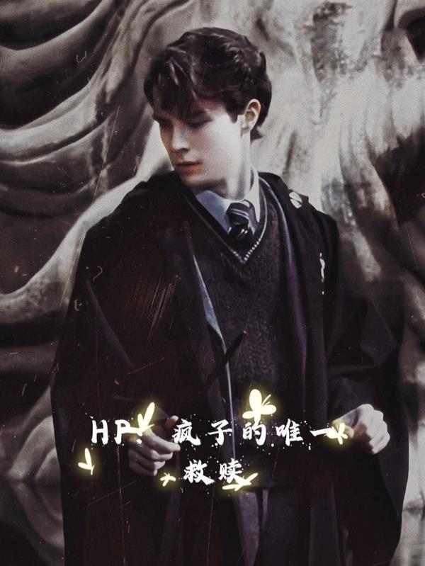 HP:疯子的唯一救赎 HP:疯子的唯一救赎