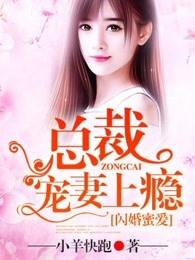 闪婚蜜爱:总裁宠妻上瘾 闪婚蜜爱:总裁宠妻上瘾