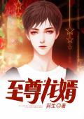 至尊龙婿 至尊龙婿
