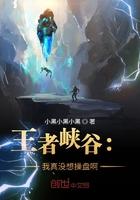 王者峡谷:我真没想操盘啊 王者峡谷:我真没想操盘啊